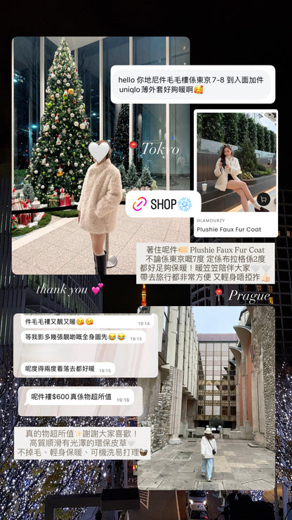 Plushie Faux Fur Coat